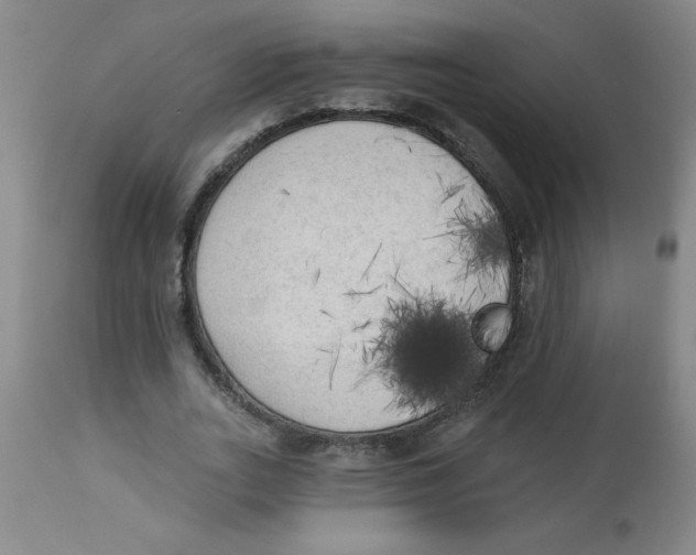 X0000112820727200909181624