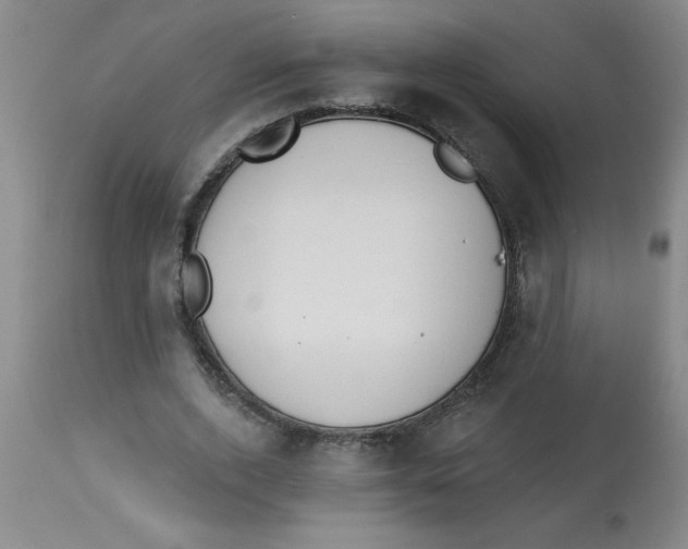 X0000112820728200909181624