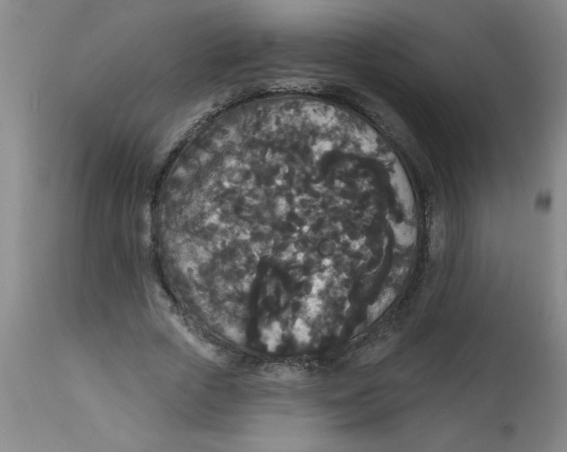 X0000112820729200909181624