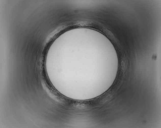 X0000112820730200909181624