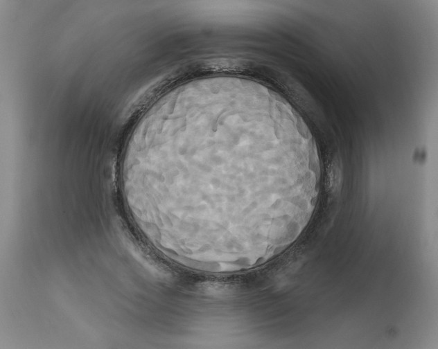 X0000112820733200909181624