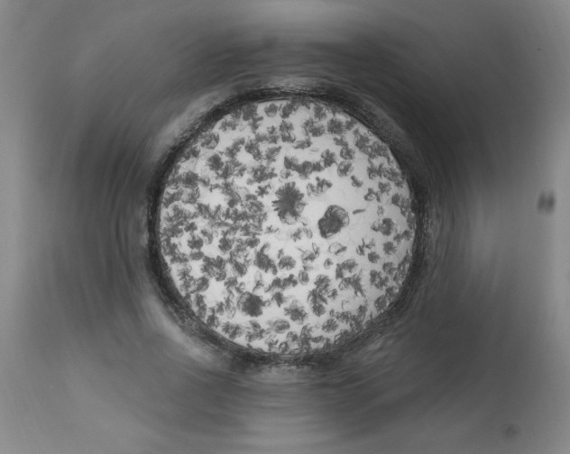 X0000112820734200909181624