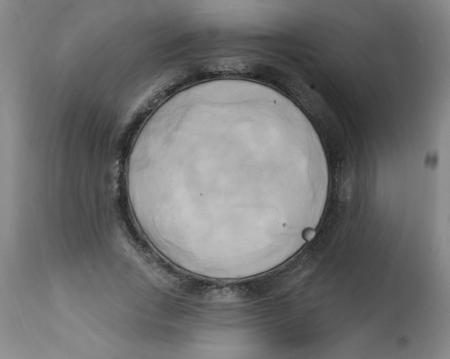 X0000112820735200909181624