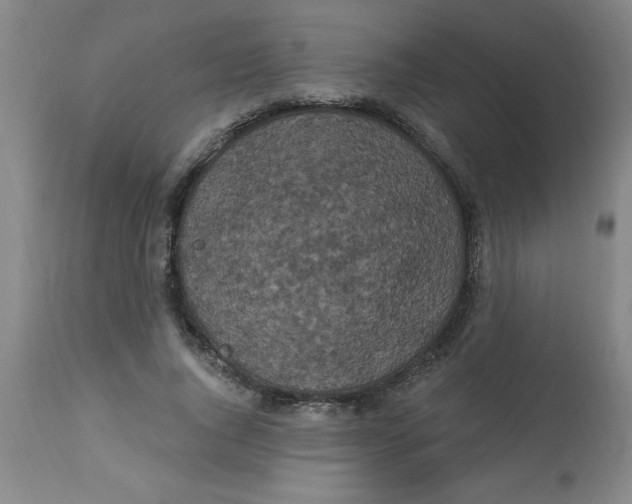 X0000112820736200909181624