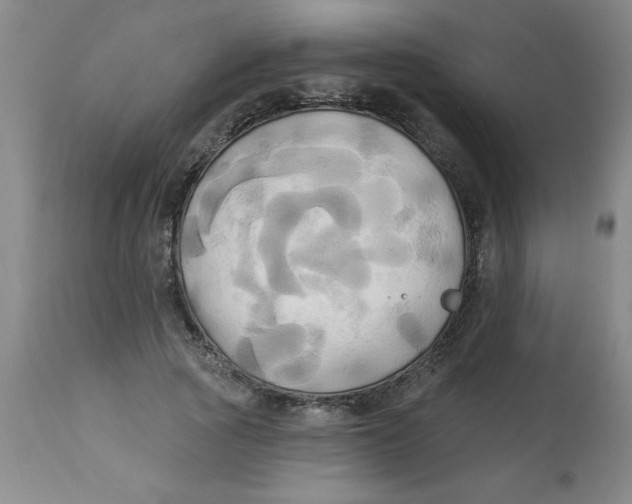 X0000112820737200909181624