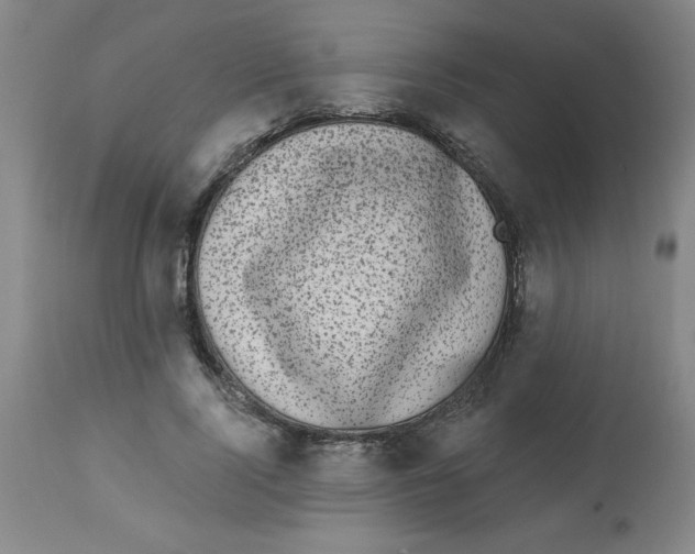 X0000112820740200909181624