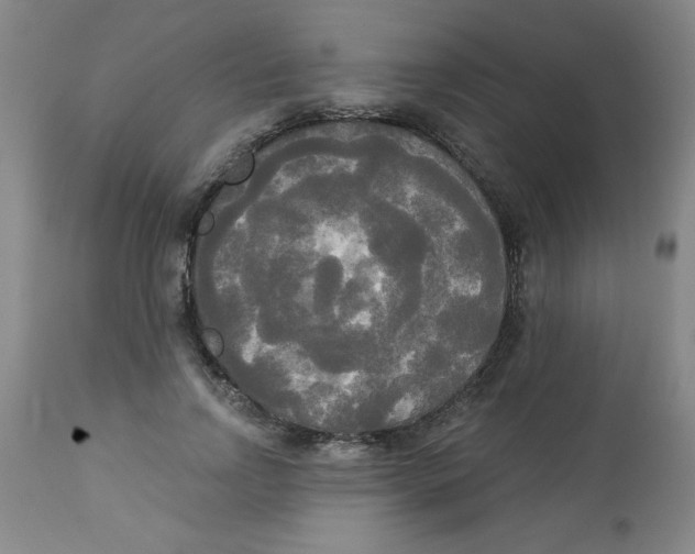 X0000112820742200909181624