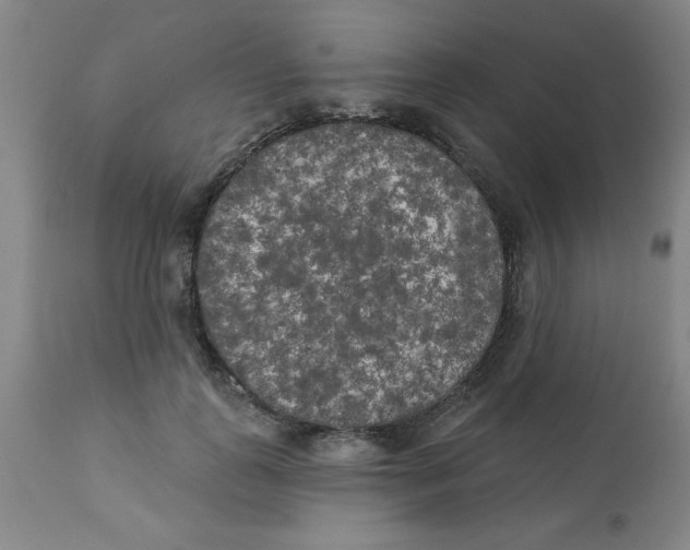 X0000112820747200909181624