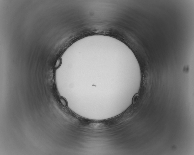 X0000112820748200909181624