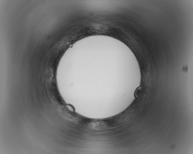 X0000112820752200909181624