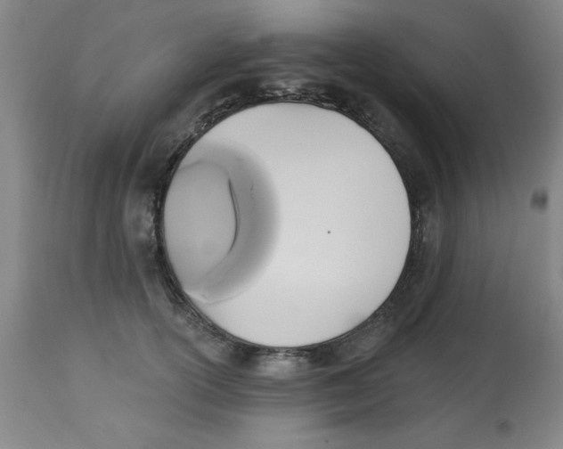 X0000112820754200909181624