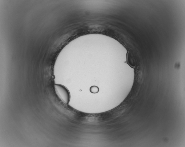 X0000112820756200909181624