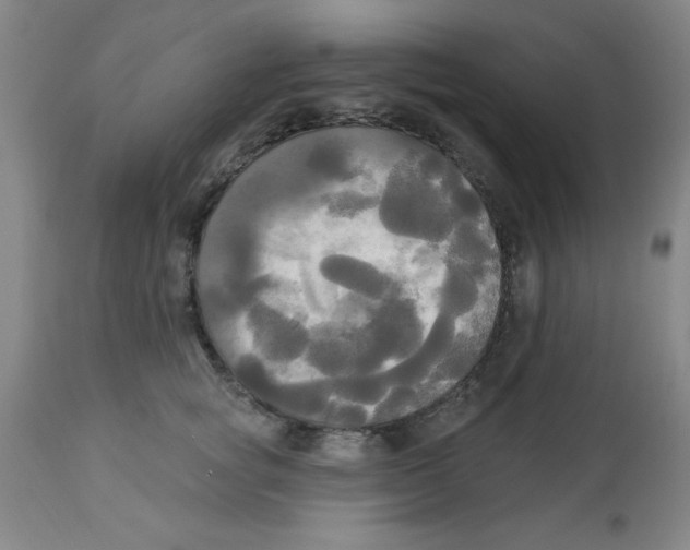 X0000112820757200909181624