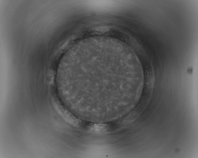 X0000112820758200909181624