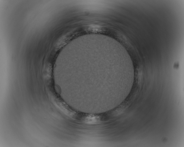 X0000112820760200909181624