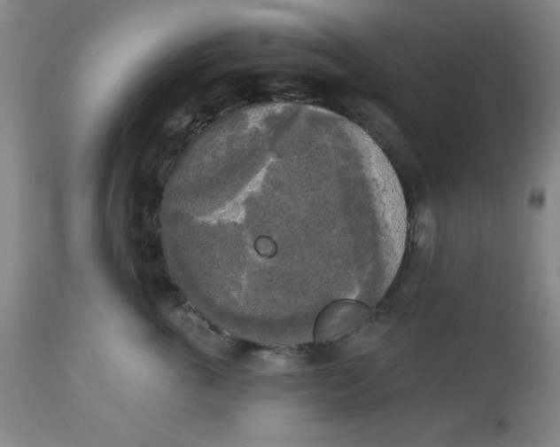 X0000112820763200909181624