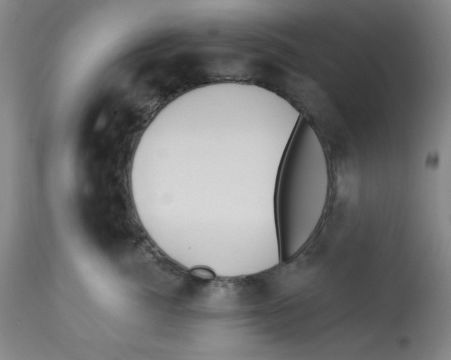 X0000112820764200909181624