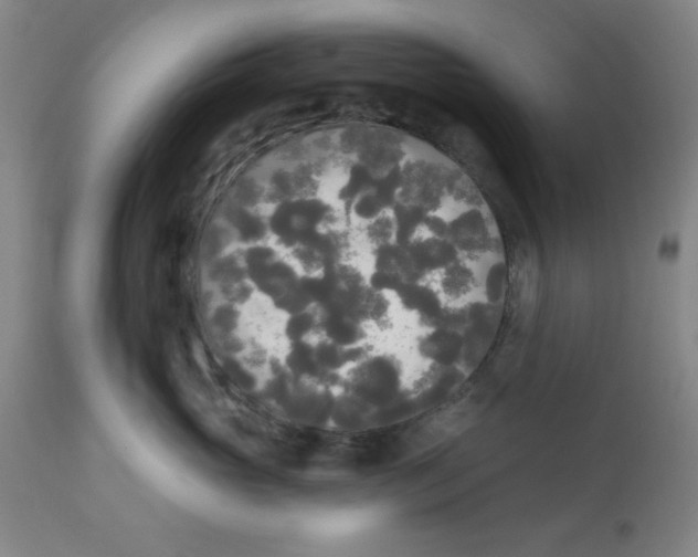 X0000112820765200909181624