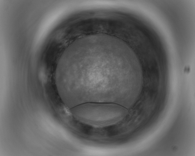 X0000112820766200909181624