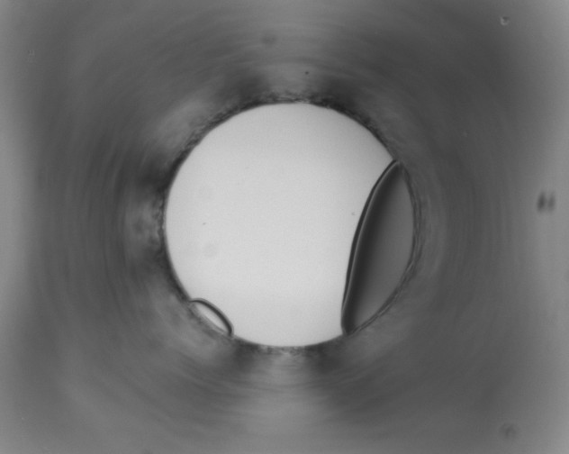 X0000112820768200909181625