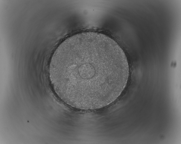 X0000112820769200909181624