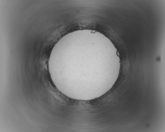 X0000112820770200909181624