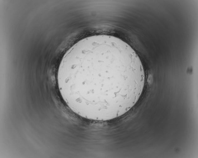 X0000112820771200909181624