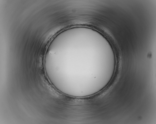 X0000112820777200909181624