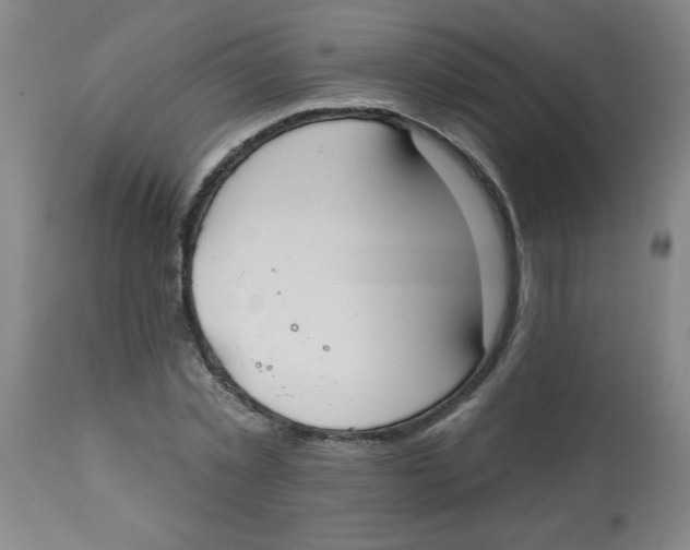 X0000112820781200909181623