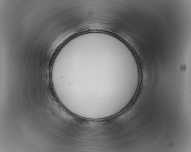 X0000112820782200909181623