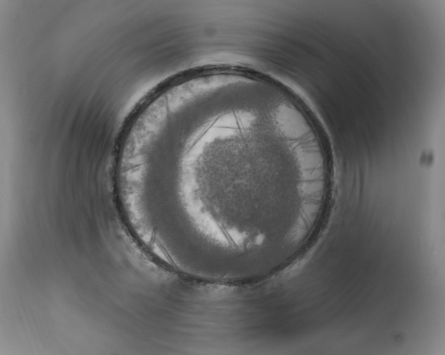 X0000112820783200909181623