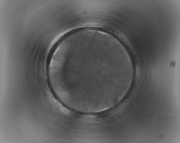 X0000112820784200909181623