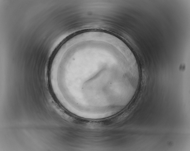 X0000112820788200909181623