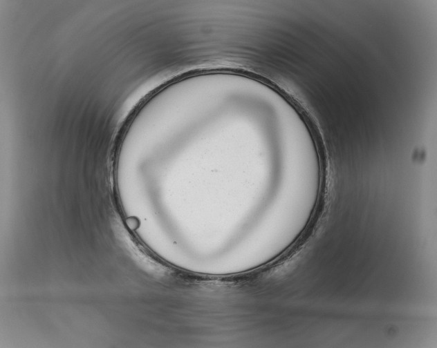 X0000112820789200909181623