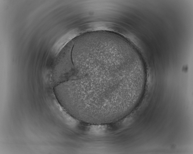 X0000112820793200909181623