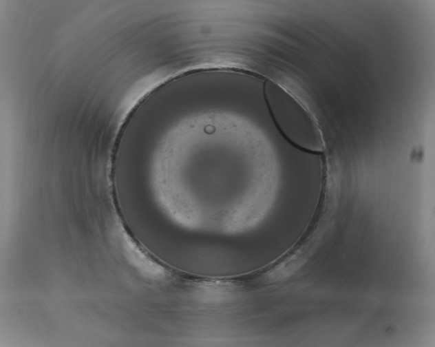 X0000112820797200909181623