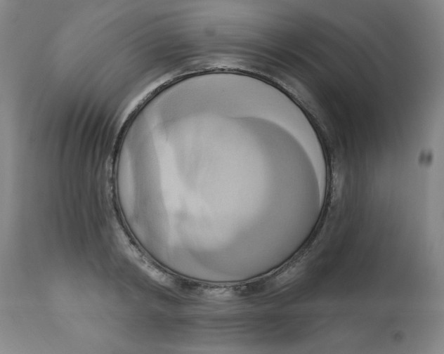 X0000112820798200909181623