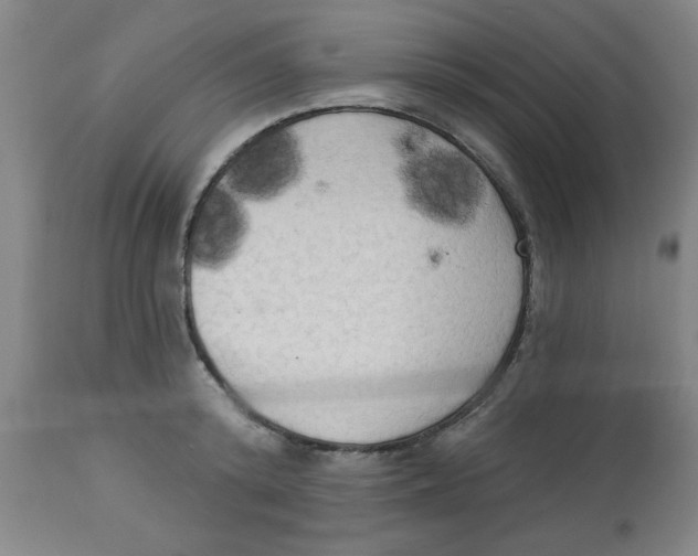 X0000112820800200909181623