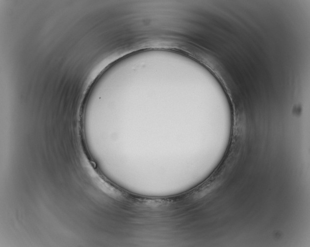 X0000112820803200909181623