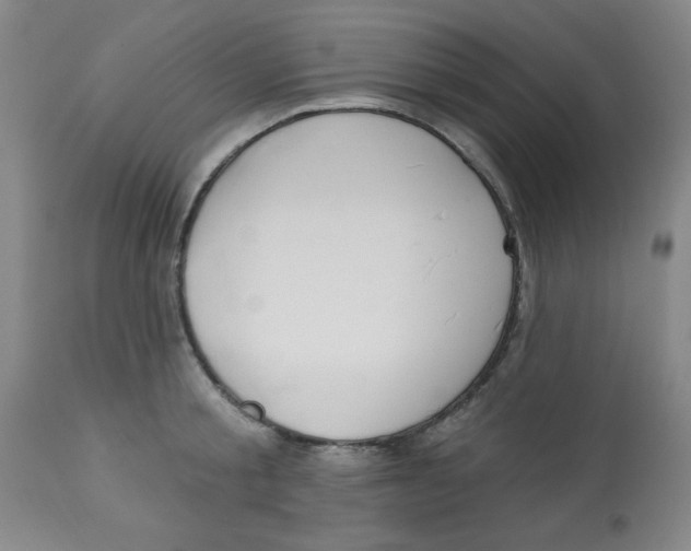 X0000112820805200909181623