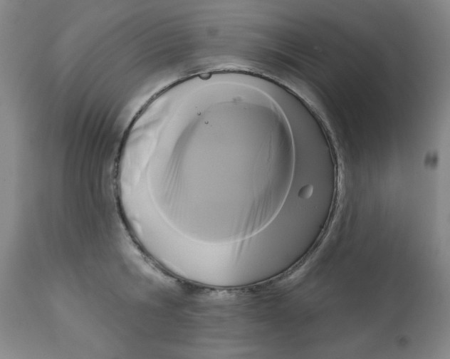 X0000112820806200909181623