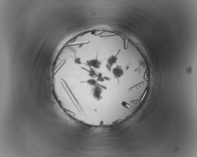 X0000112820808200909181623