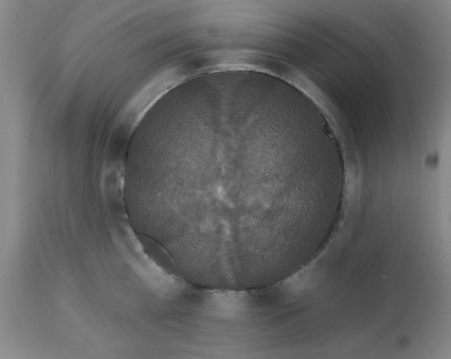 X0000112820809200909181623