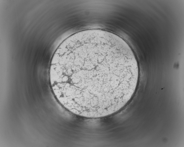 X0000112820810200909181623