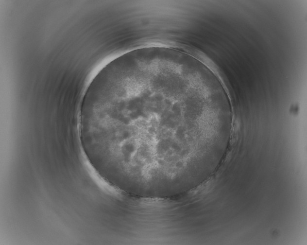 X0000112820811200909181623