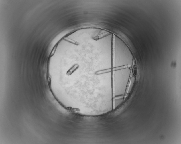 X0000112820812200909181623