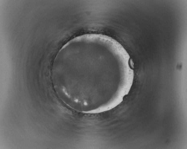 X0000112820817200909181622