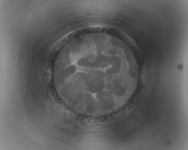 X0000112820821200909181622