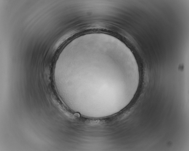 X0000112820826200909181622