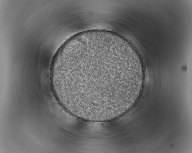 X0000112820828200909181622